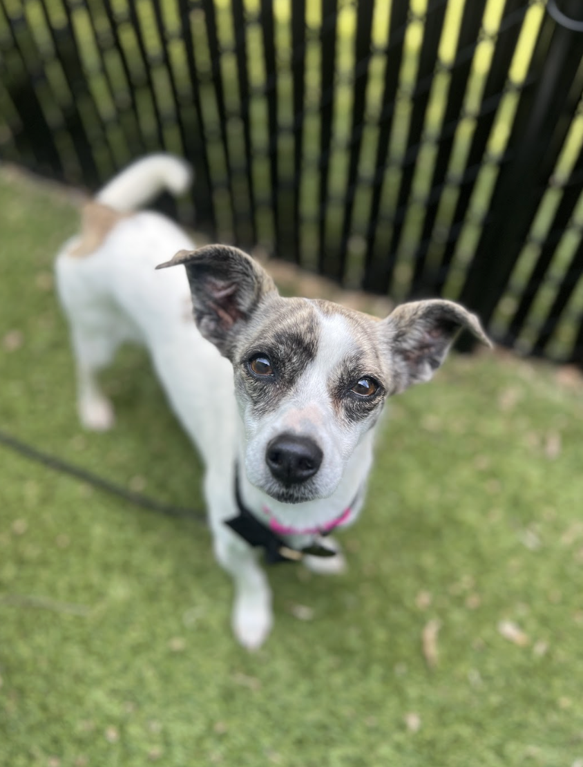 Screenshot 2026-04-09 at 6.42.46 PM.png