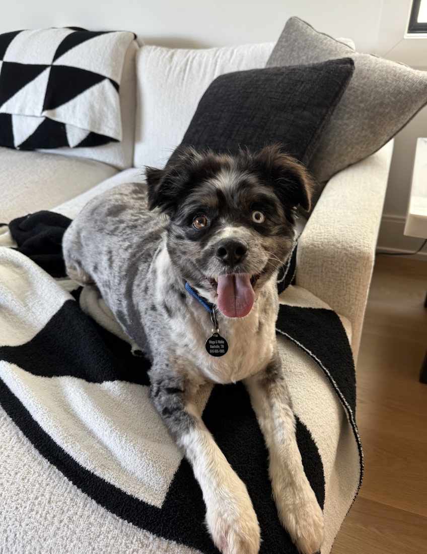 Screenshot 2026-01-24 at 4.40.50 PM.png