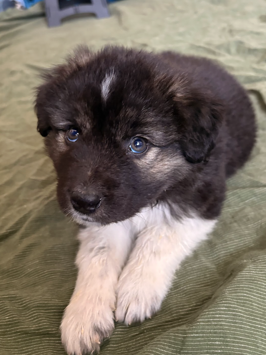 Screenshot 2026-04-13 at 2.40.51 PM.png