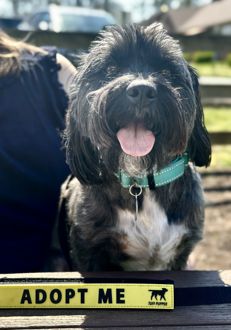 Screenshot 2026-04-22 at 3.59.47 PM.png