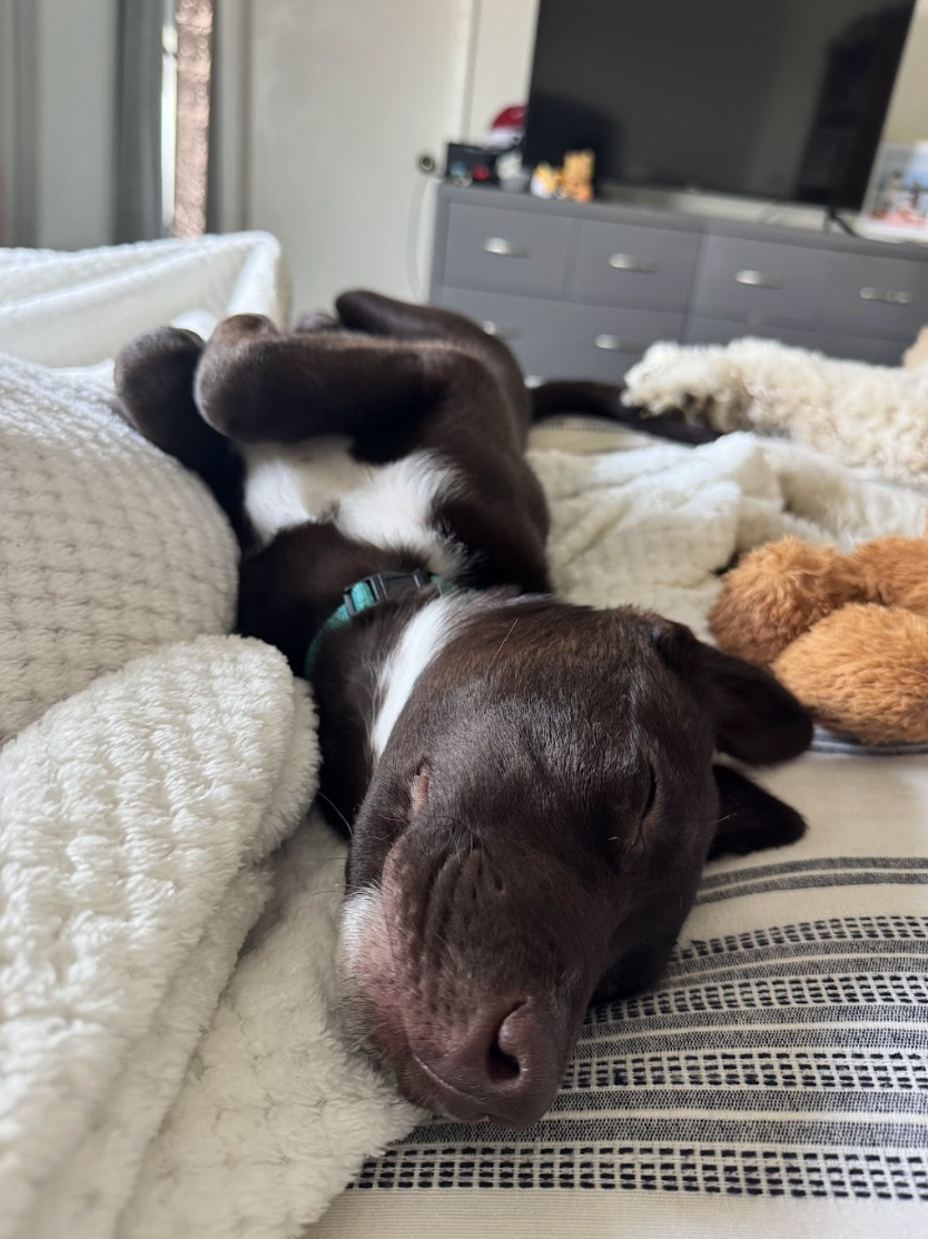 Screenshot 2026-04-03 at 1.30.02 PM.png