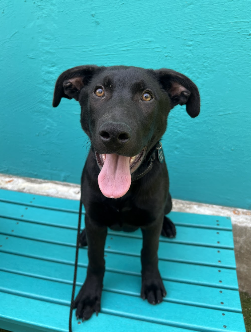 Screenshot 2026-04-09 at 6.45.29 PM.png