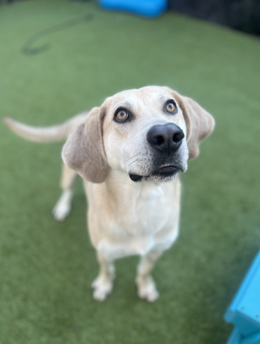 Screenshot 2026-02-27 at 6.27.04 PM.png