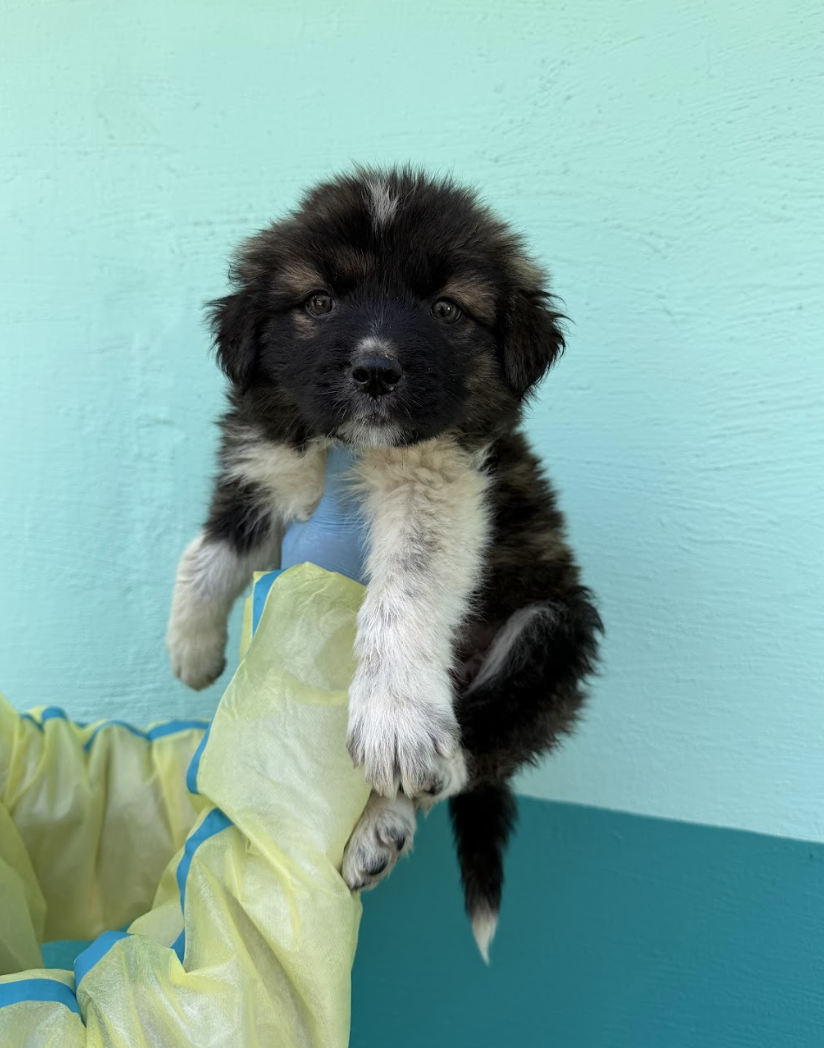 Screenshot 2026-04-13 at 2.46.10 PM.png