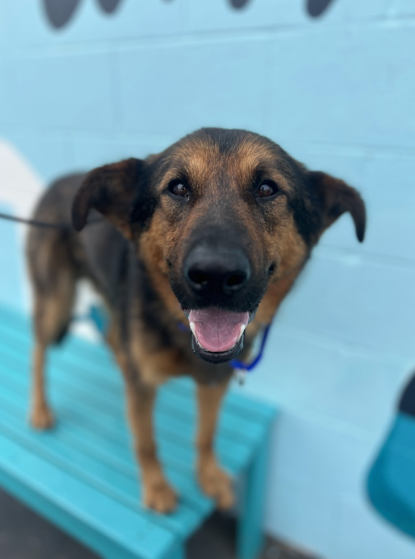 Screenshot 2026-03-26 at 2.24.24 PM.png