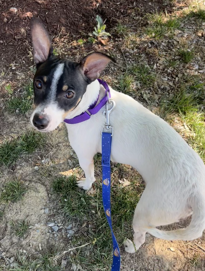 Screenshot 2026-04-21 at 1.48.57 PM.png