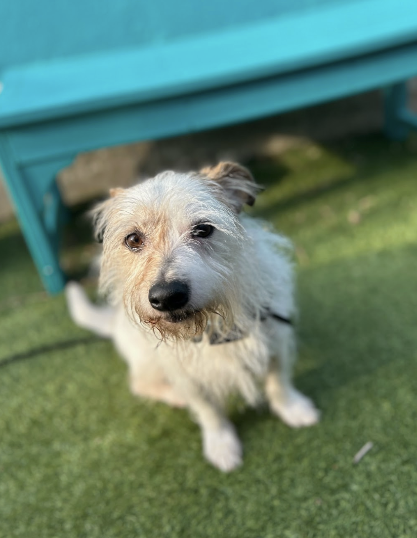 Screenshot 2026-03-05 at 2.27.49 PM.png