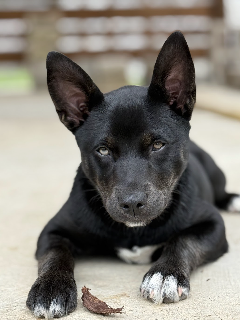 Screenshot 2026-03-12 at 3.33.50 PM.png