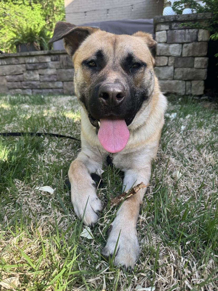 Screenshot 2026-04-22 at 3.12.05 PM.png