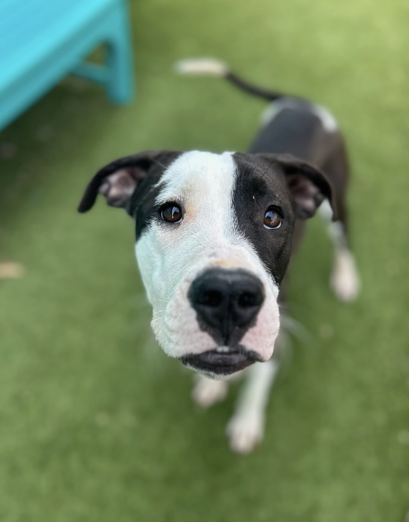 Screenshot 2026-02-12 at 2.56.16 PM.png