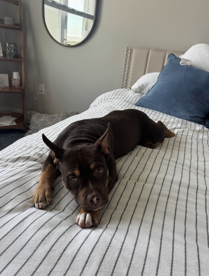 Screenshot 2026-03-24 at 12.17.41 PM.png