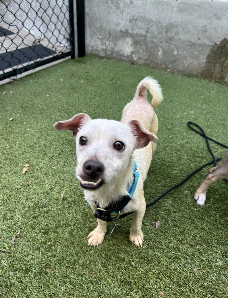 Screenshot 2026-04-21 at 1.54.58 PM.png