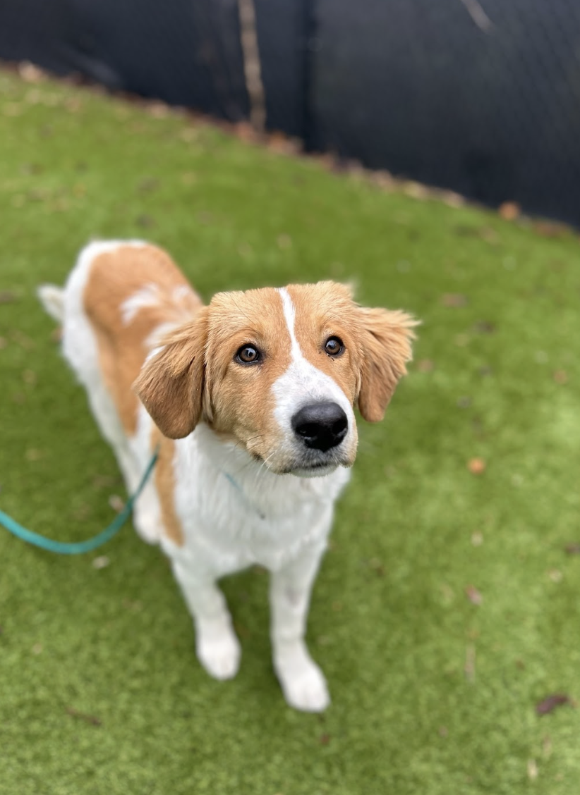 Screenshot 2025-12-18 at 1.35.58 PM.png