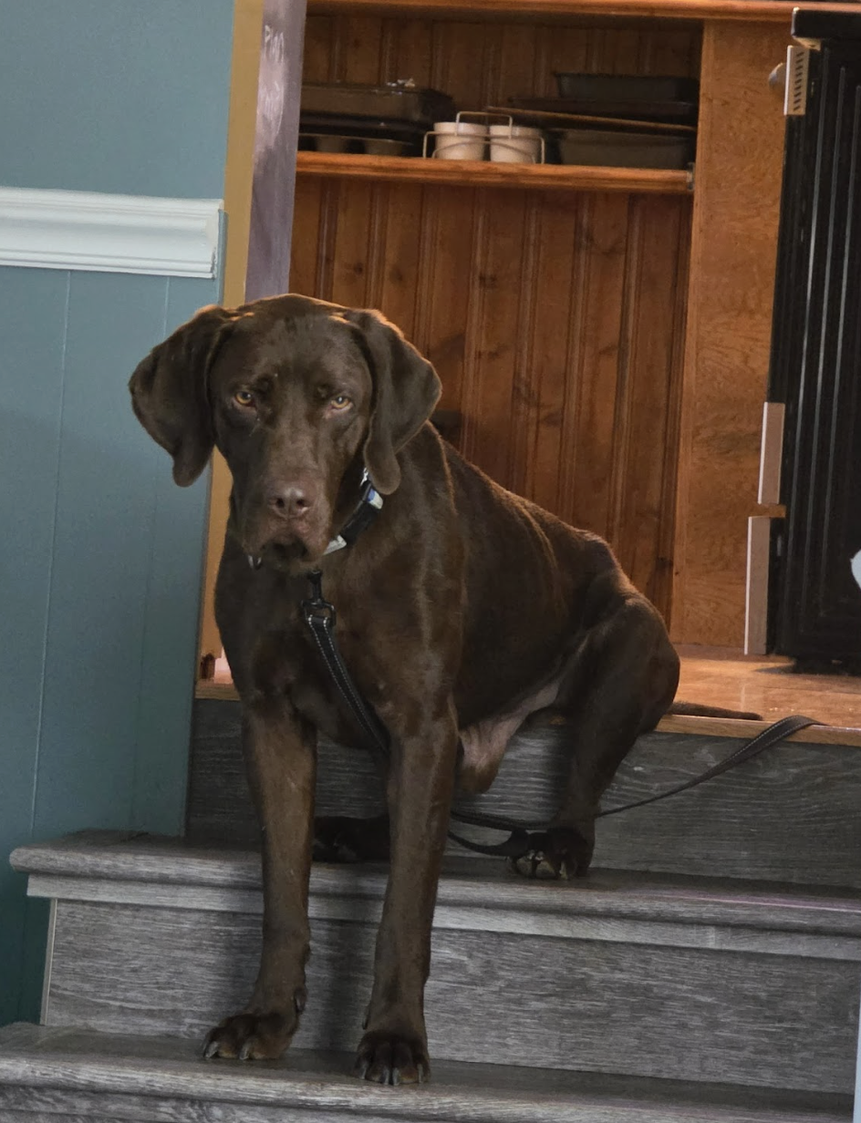 Screenshot 2026-02-16 at 6.14.05 PM.png