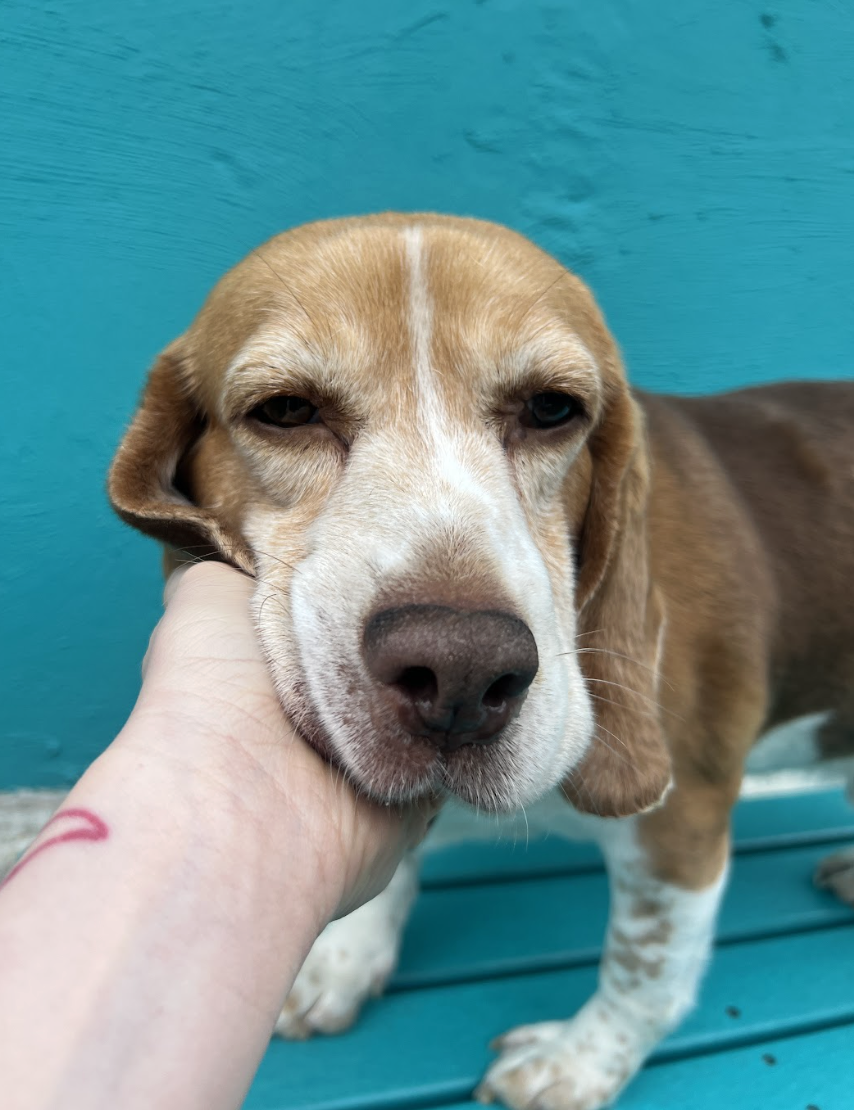 Screenshot 2026-03-11 at 6.31.48 PM.png