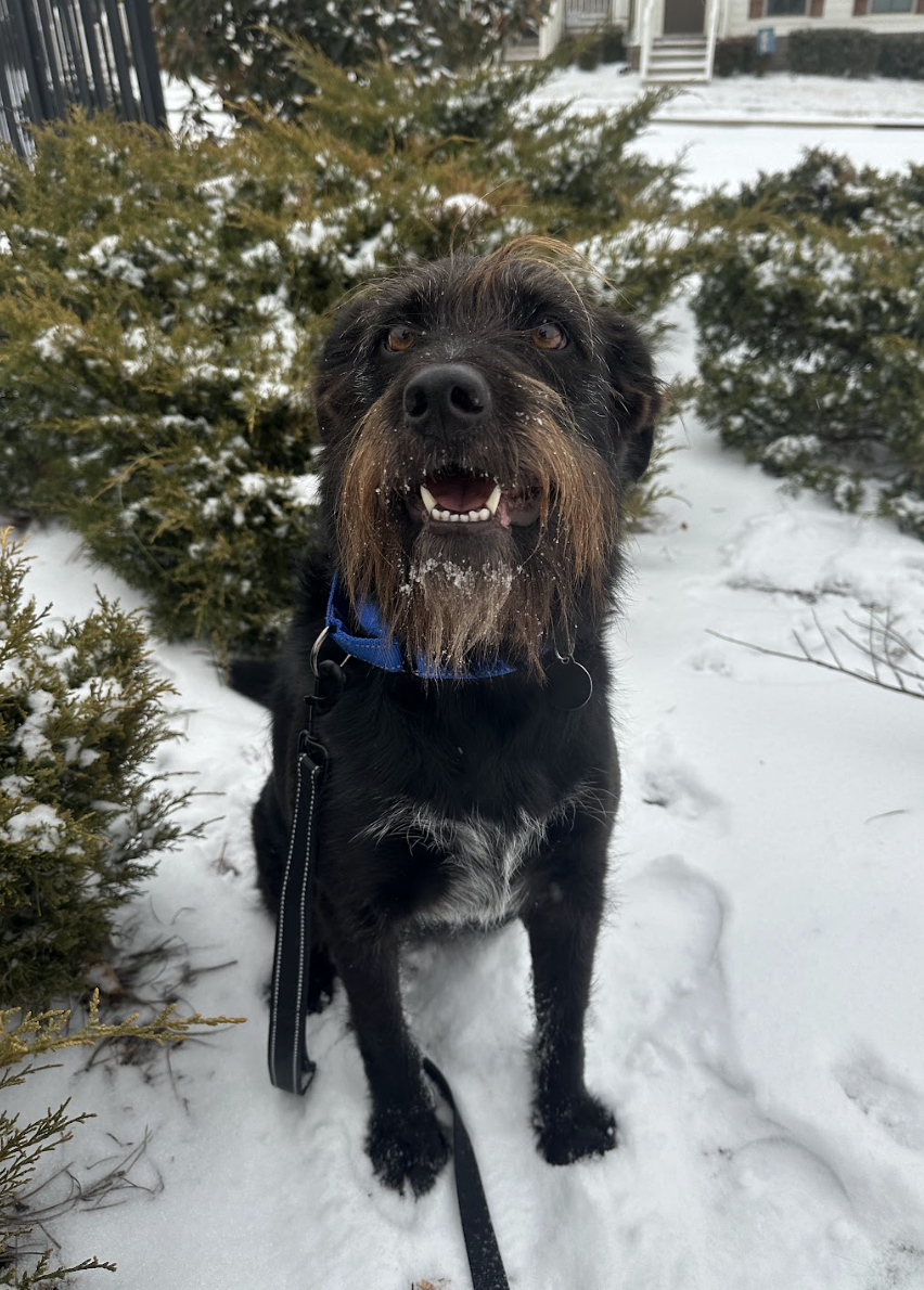 Screenshot 2026-01-25 at 10.04.35 AM.png