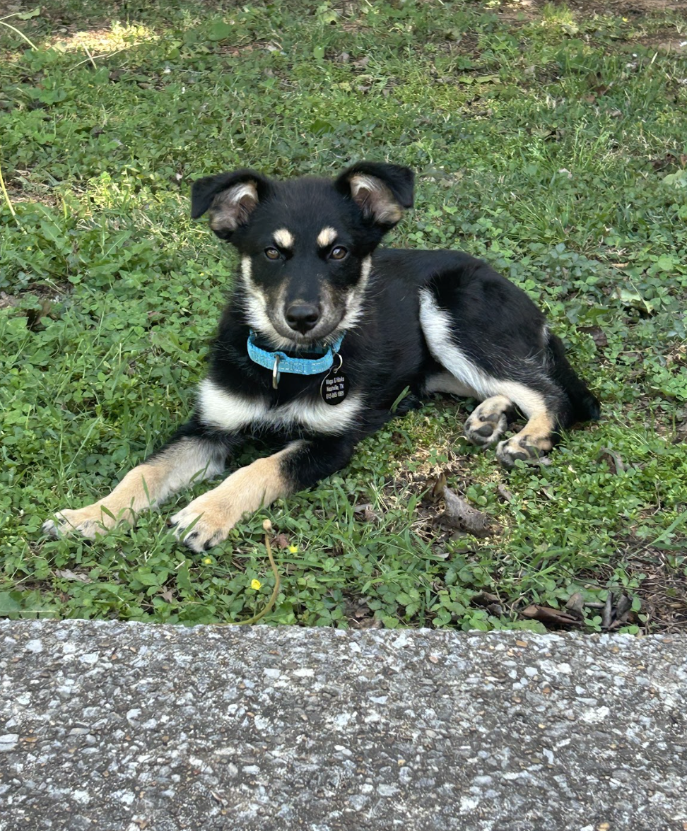 Screenshot 2026-04-23 at 2.58.28 PM.png