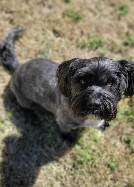 Screenshot 2026-03-17 at 5.05.29 PM.png