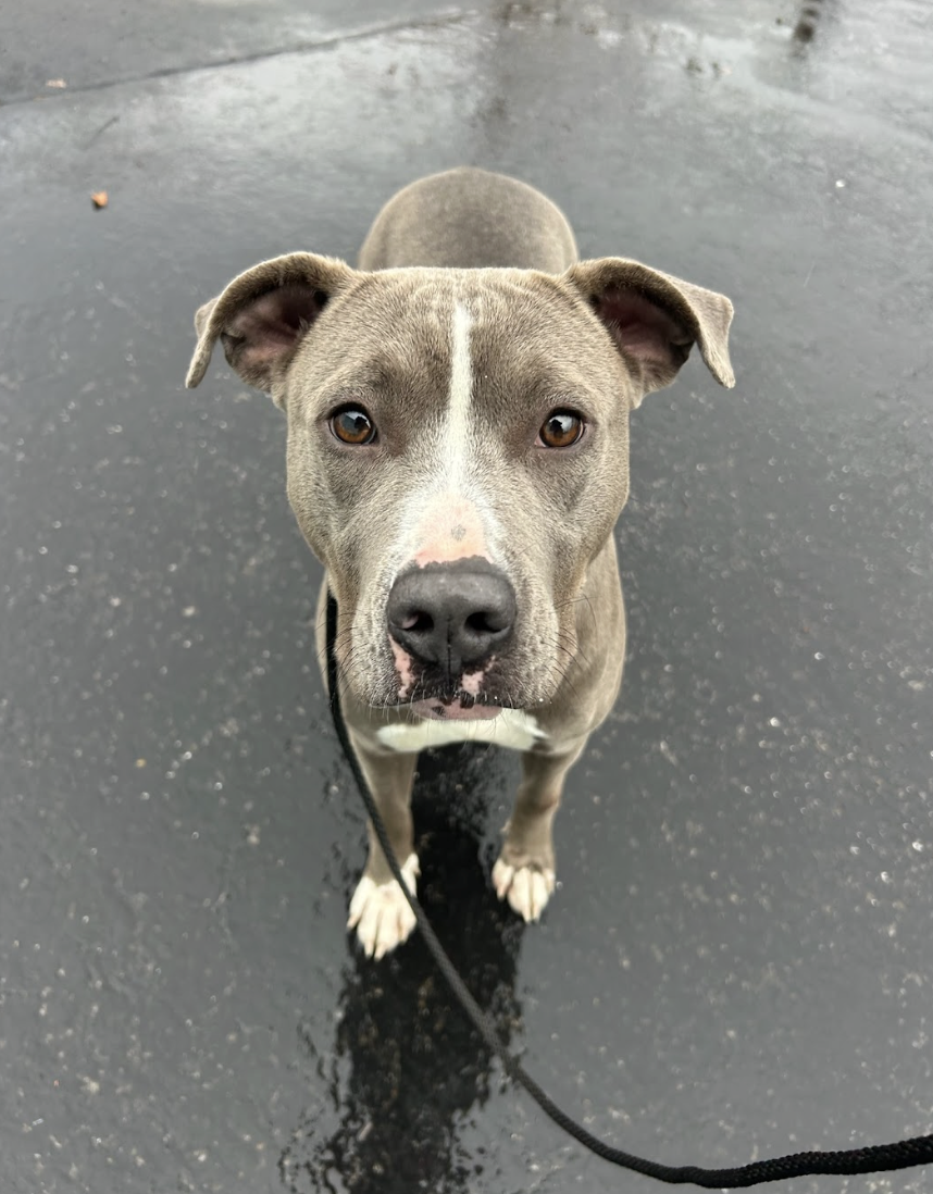 Screenshot 2025-12-18 at 1.52.16 PM.png