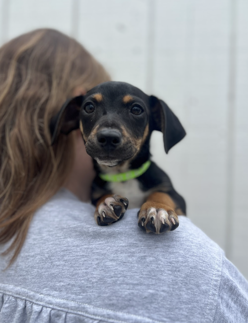 Screenshot 2026-02-26 at 1.19.35 PM.png