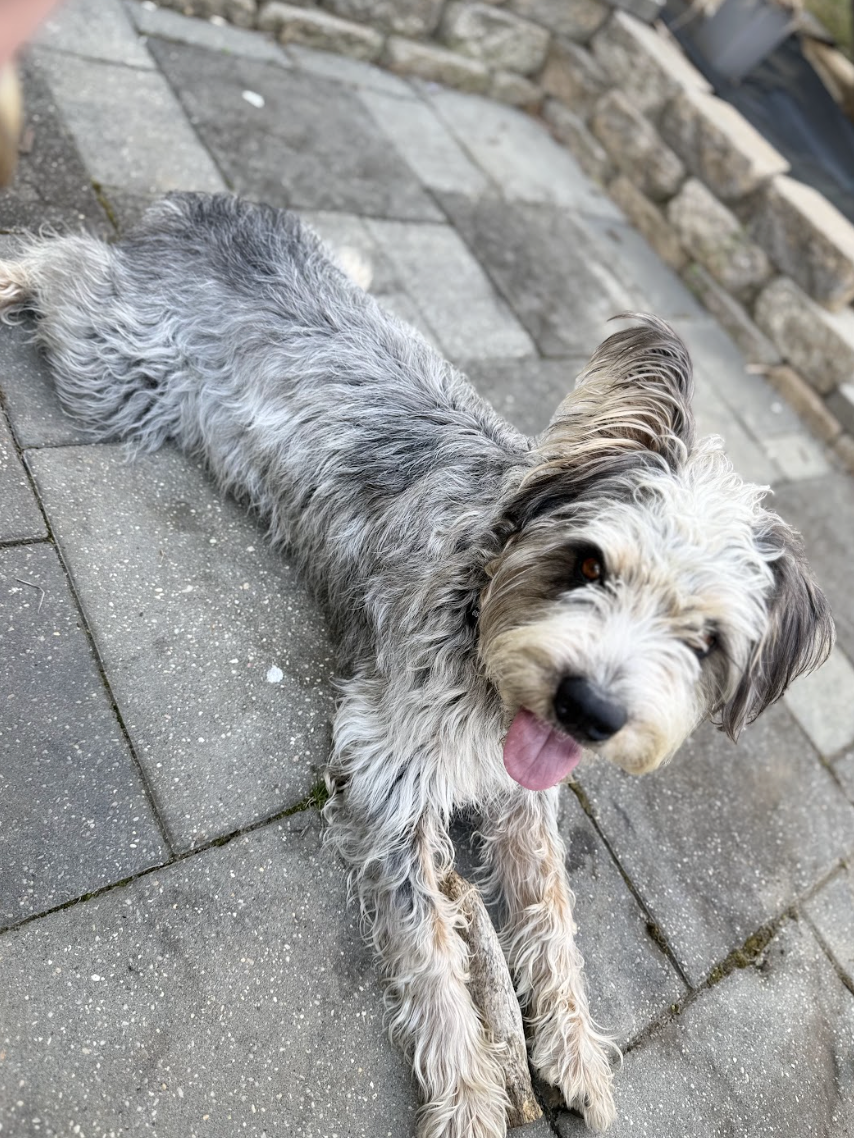 Screenshot 2026-04-08 at 12.40.43 PM.png