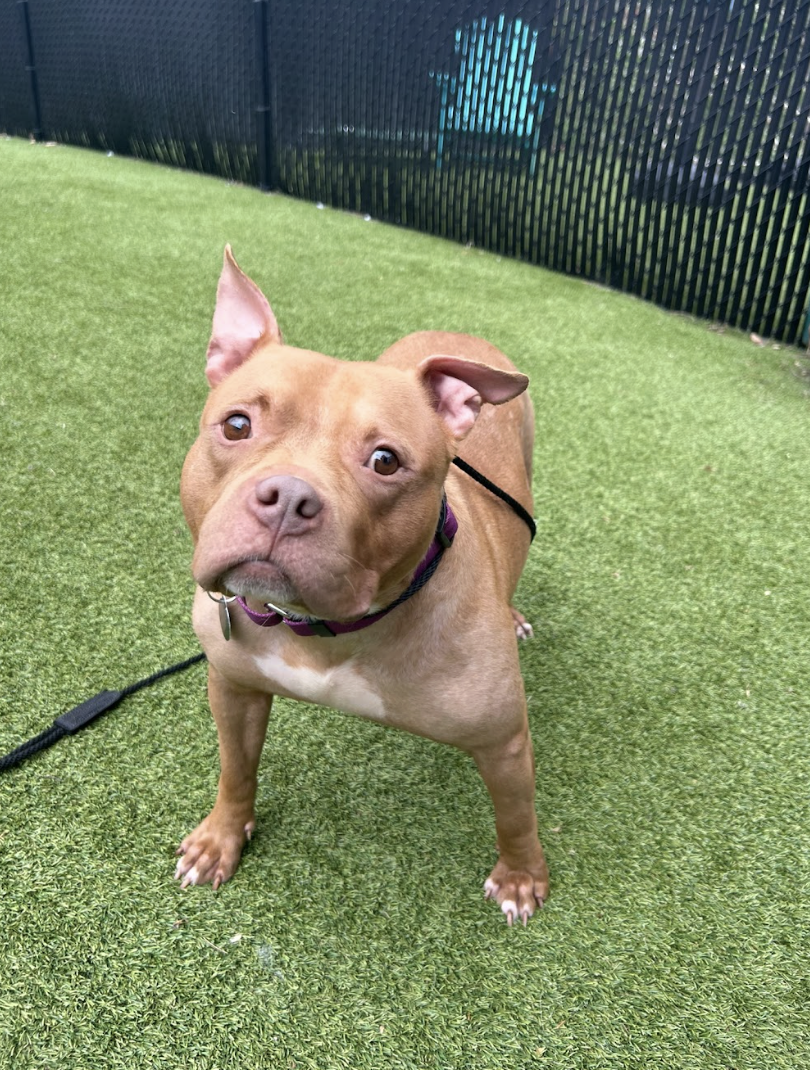 Screenshot 2026-03-11 at 6.41.51 PM.png