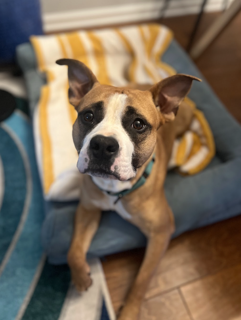 Screenshot 2026-02-26 at 2.27.01 PM.png