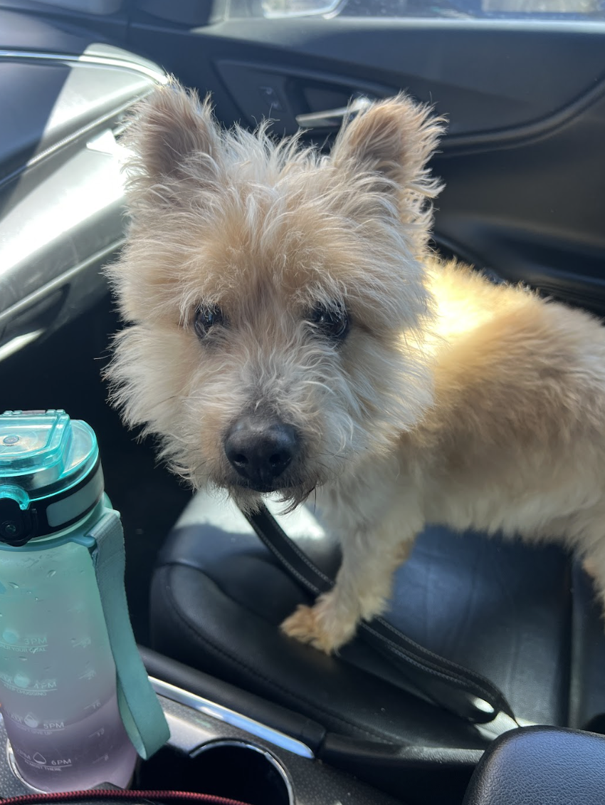 Screenshot 2026-03-11 at 8.25.31 PM.png