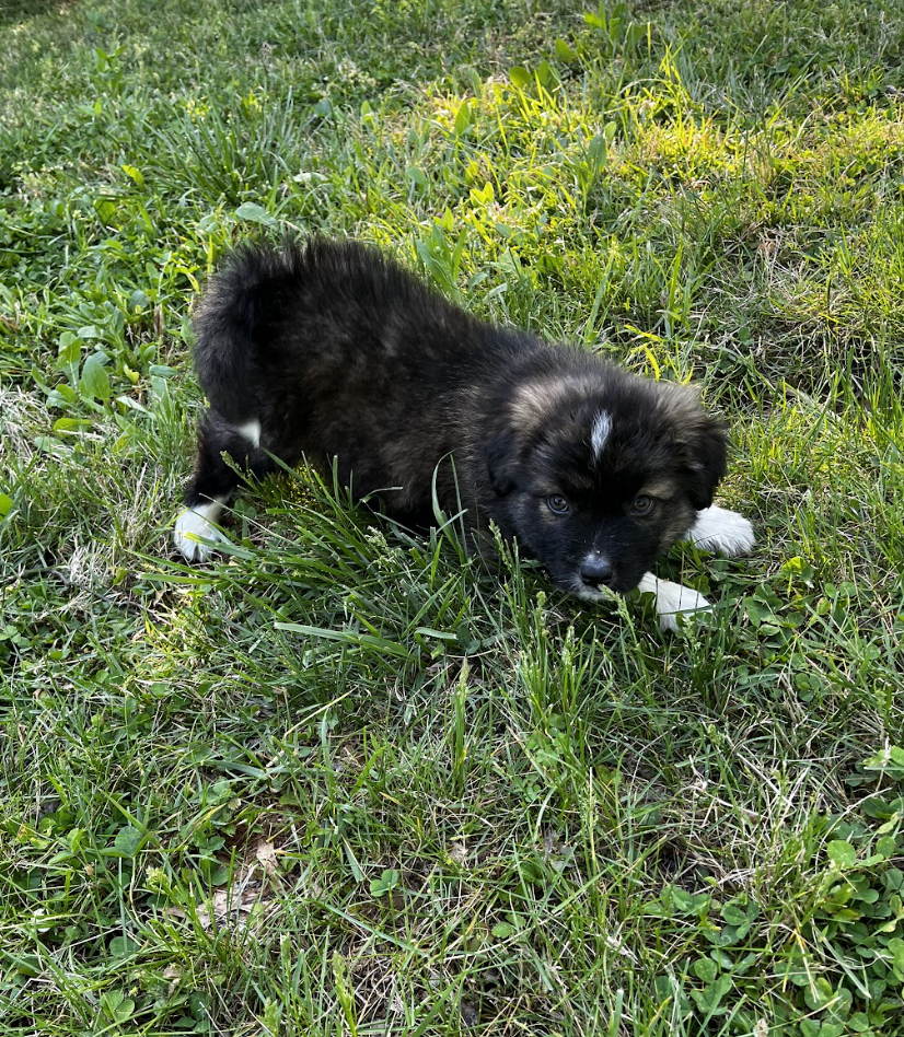 Screenshot 2026-04-13 at 2.46.01 PM.png