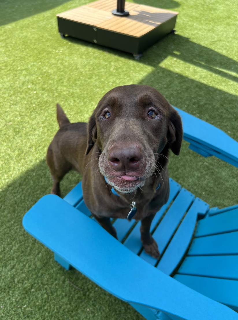 Screenshot 2026-03-26 at 2.36.01 PM.png