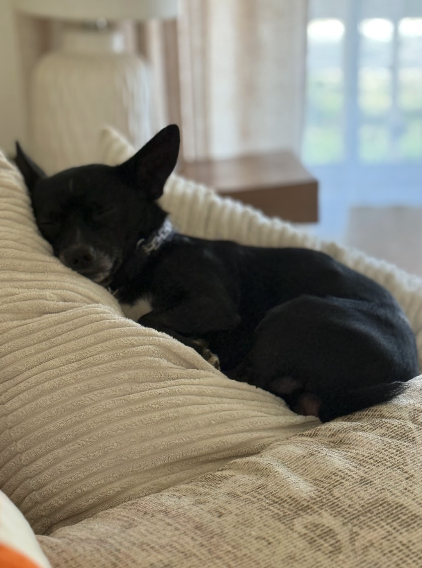 Screenshot 2026-01-14 at 1.40.01 PM.png