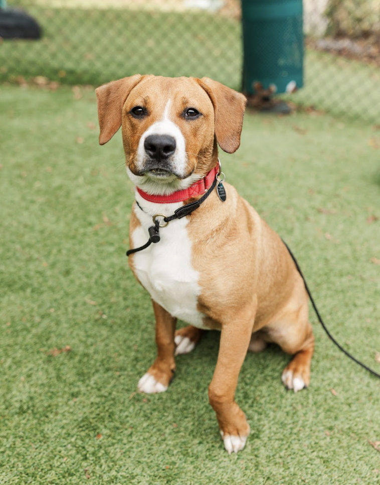 Screenshot 2026-03-20 at 4.11.52 PM.png