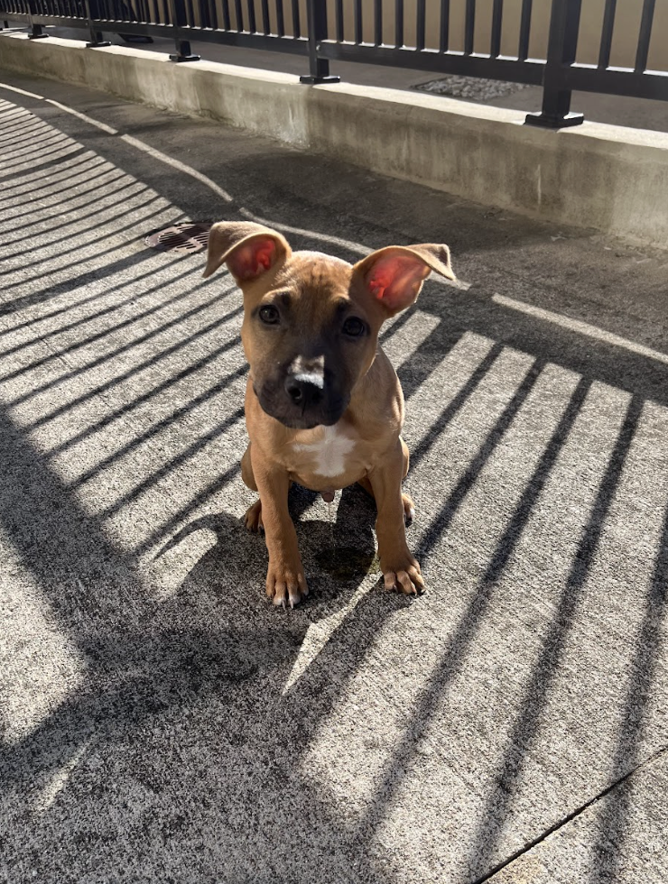 Screenshot 2026-04-03 at 1.57.23 PM.png