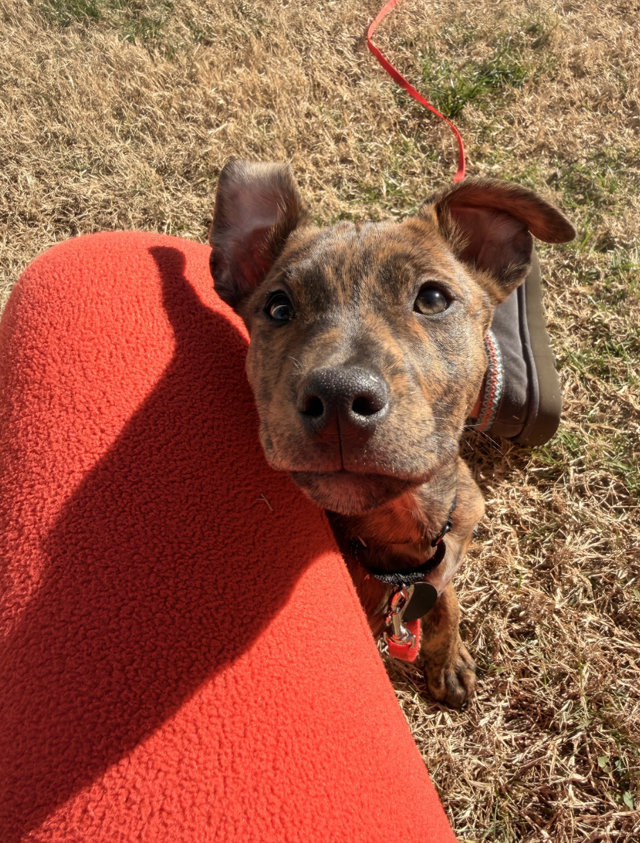 Screenshot 2026-01-14 at 9.22.29 PM.png