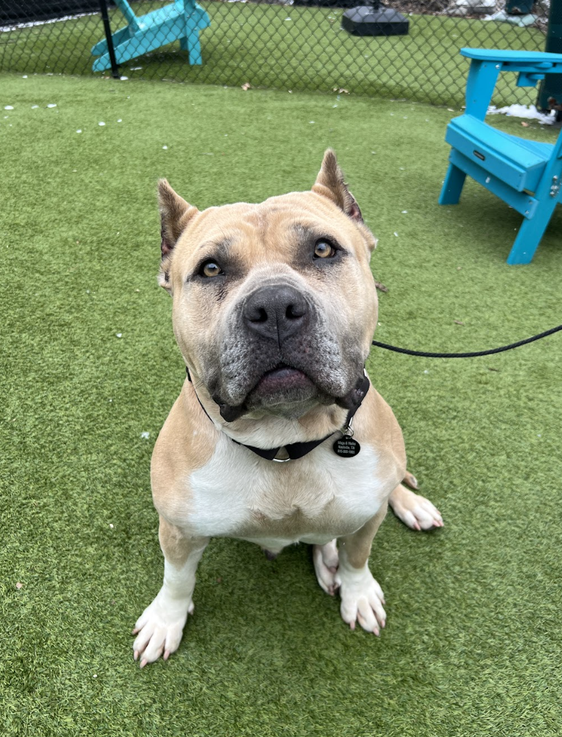 Screenshot 2026-01-30 at 4.51.23 PM.png