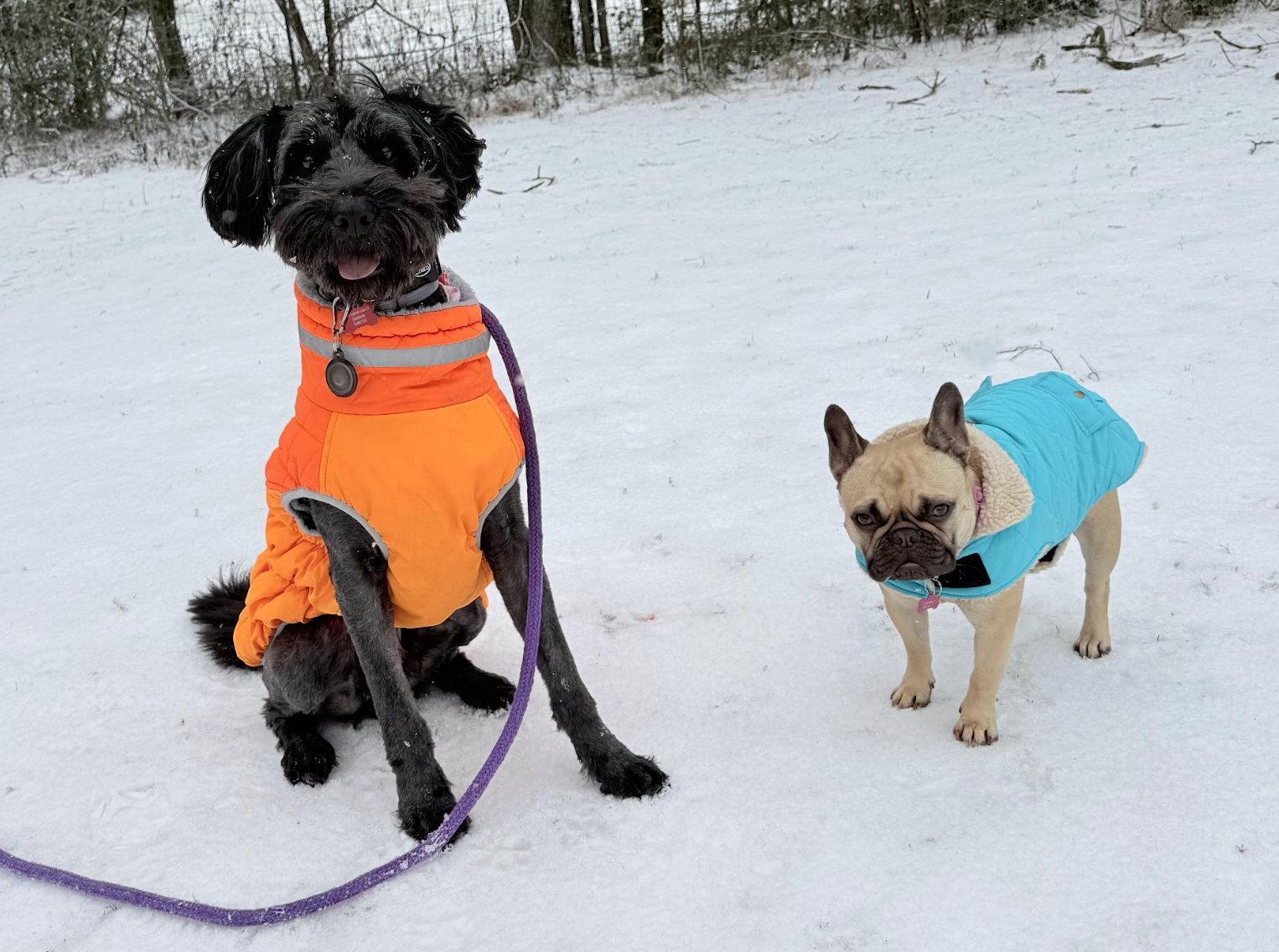 Screenshot 2026-02-11 at 4.07.53 PM.png