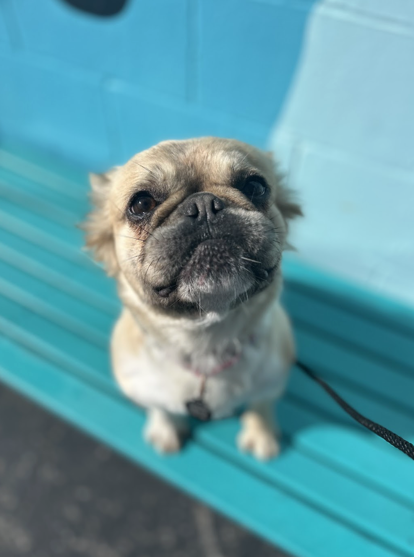 Screenshot 2026-01-15 at 2.33.13 PM.png