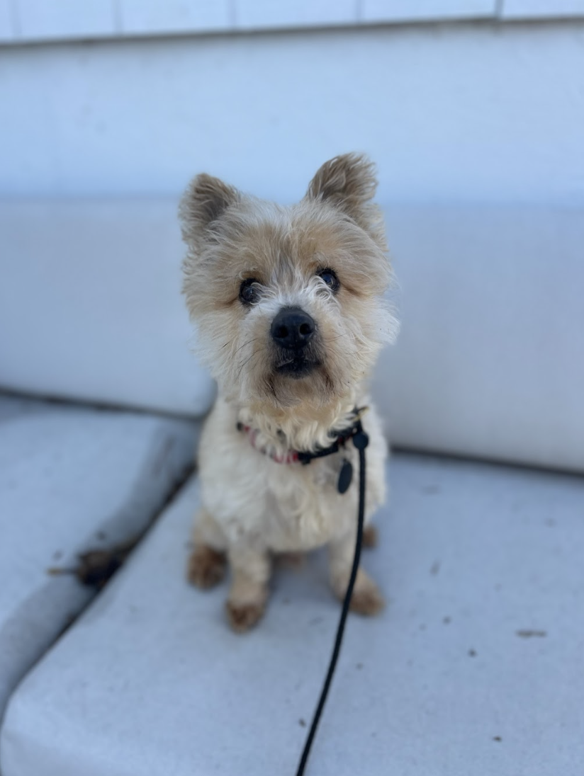 Screenshot 2026-03-11 at 8.25.11 PM.png