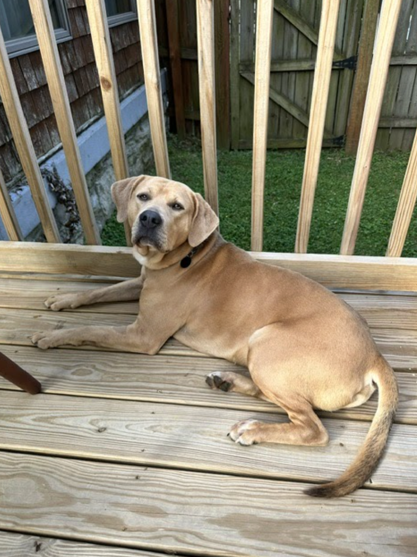 Screenshot 2026-04-22 at 5.19.49 PM.png