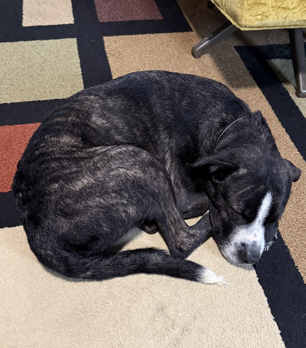 Screenshot 2026-04-07 at 5.01.44 PM.png