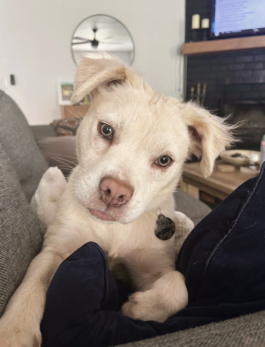 Screenshot 2026-04-22 at 5.44.13 PM.png