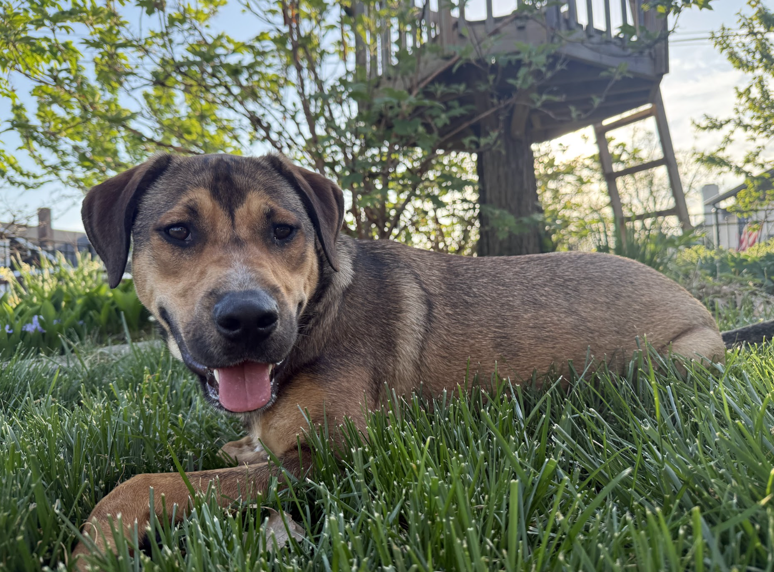 Screenshot 2026-04-22 at 4.23.15 PM.png