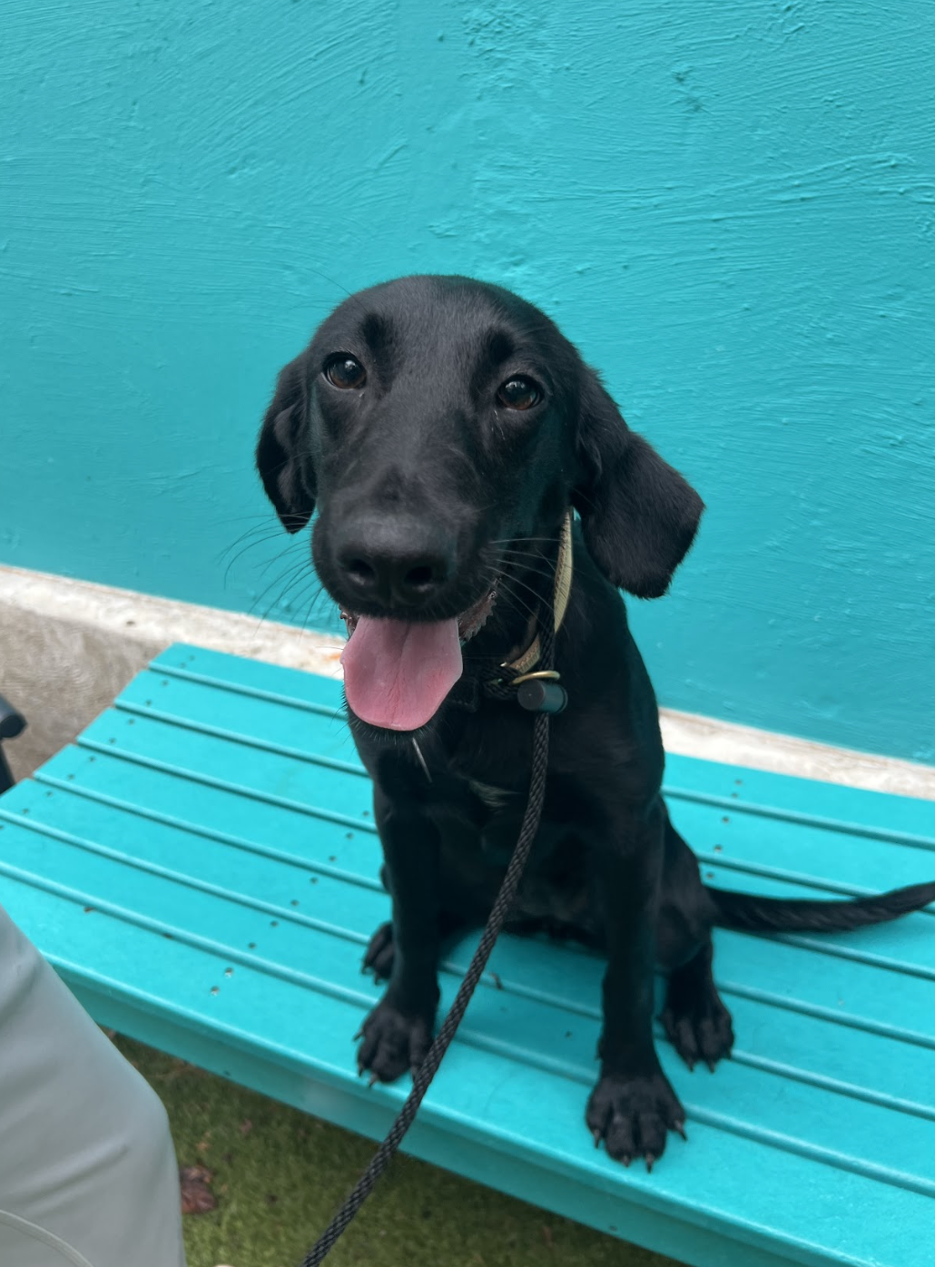 Screenshot 2025-11-04 at 3.35.32 PM.png