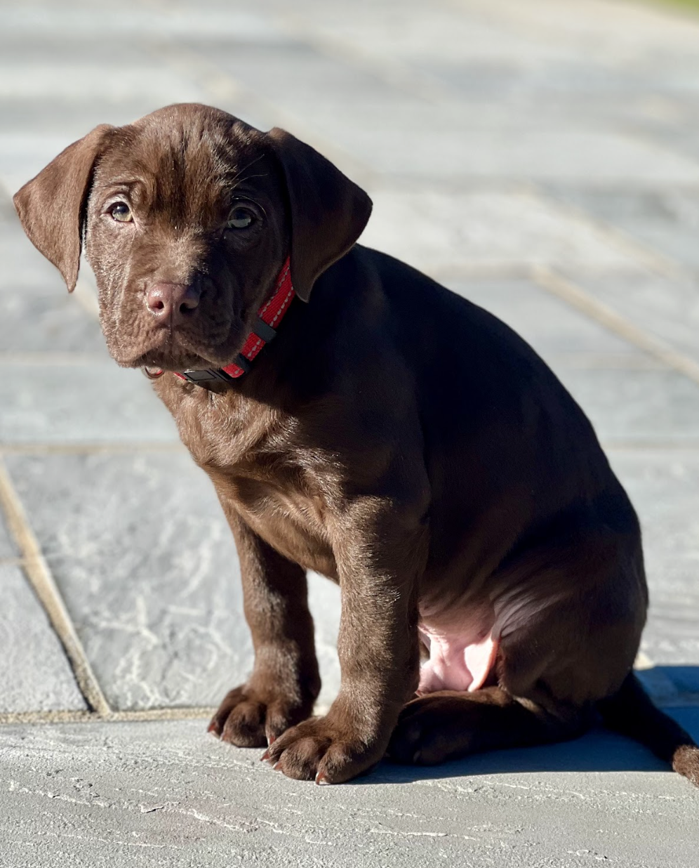 Screenshot 2025-12-31 at 1.24.10 PM.png