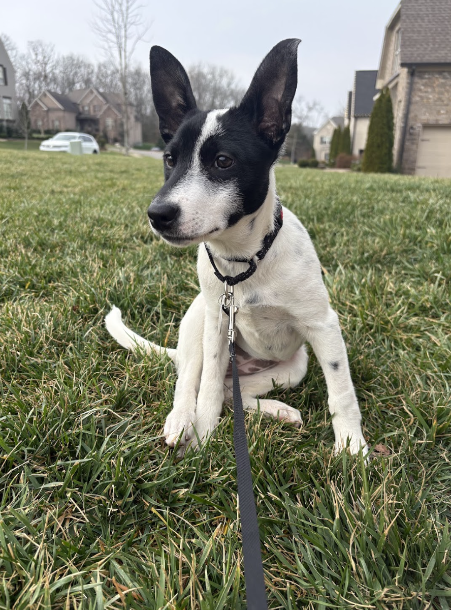 Screenshot 2026-01-14 at 9.10.19 PM.png