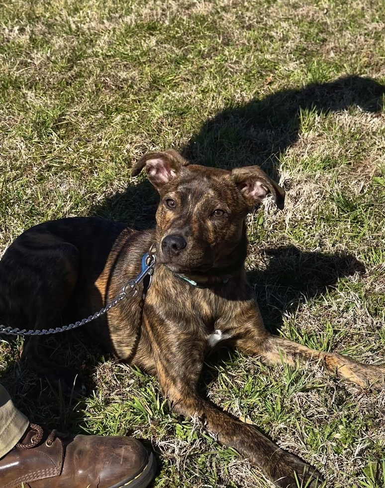 Screenshot 2026-02-20 at 8.47.45 PM.png