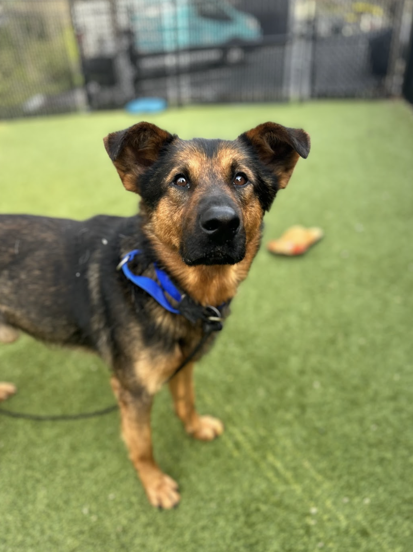 Screenshot 2026-03-26 at 2.23.26 PM.png