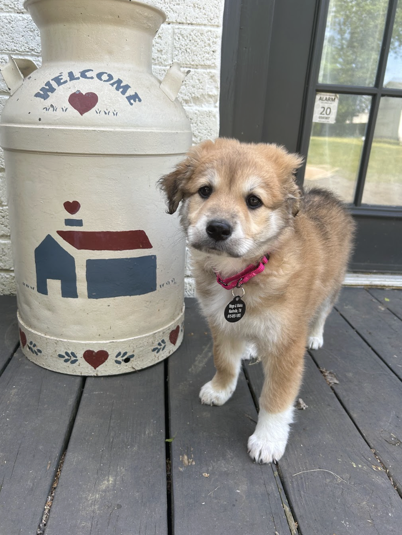 Screenshot 2026-04-23 at 6.46.15 PM.png