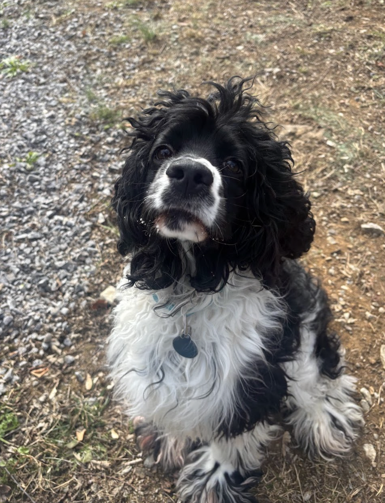 Screenshot 2026-01-24 at 7.52.15 PM.png