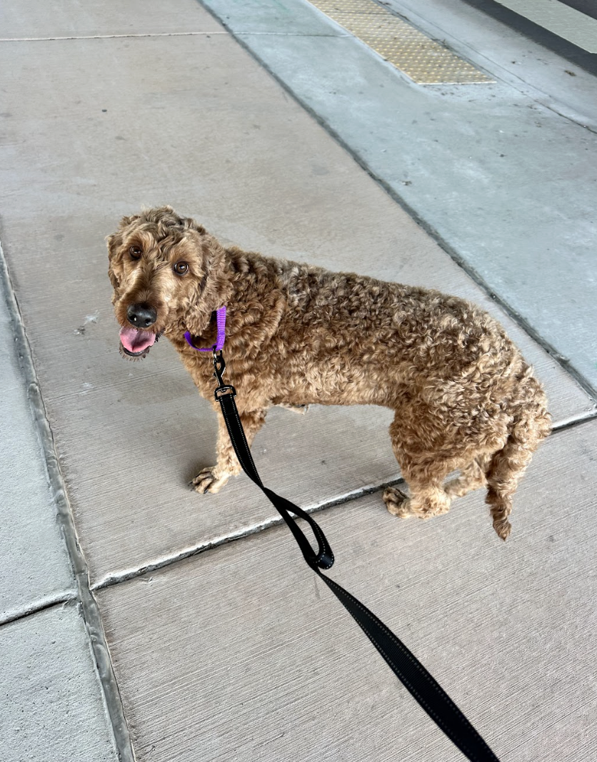 Screenshot 2026-04-08 at 3.51.08 PM.png